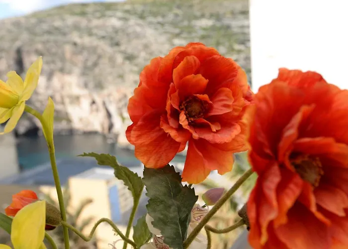 Avalon - Bellevue Gozo Apartment Xlendi