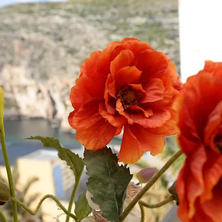 Avalon - Bellevue Gozo Apartment Xlendi